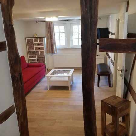 Zauberhafte Wohnung In Der Naehe Von Heidelberg, Top Lage Hirschhorn Bagian luar foto