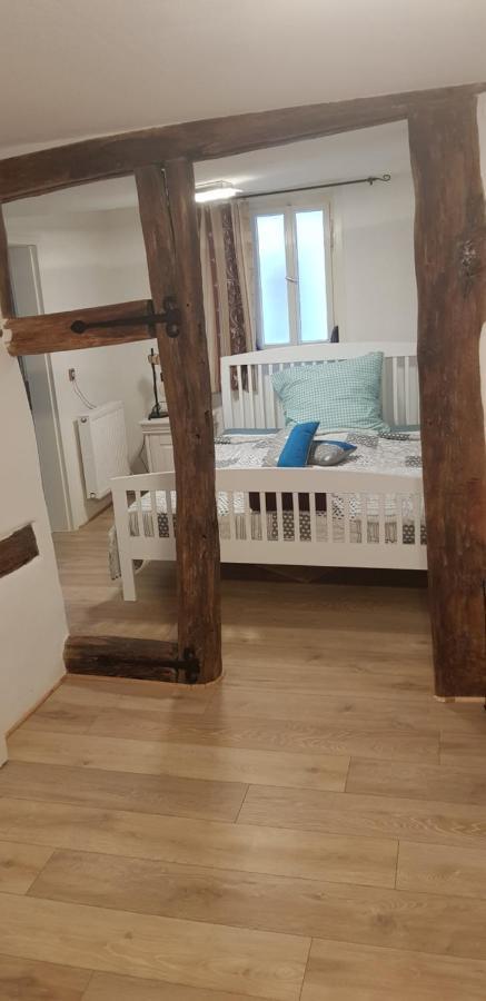 Zauberhafte Wohnung In Der Naehe Von Heidelberg, Top Lage Hirschhorn Bagian luar foto