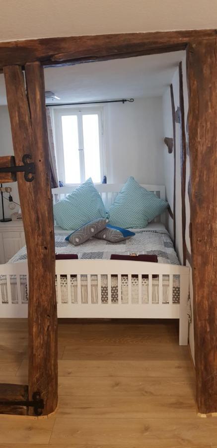 Zauberhafte Wohnung In Der Naehe Von Heidelberg, Top Lage Hirschhorn Bagian luar foto