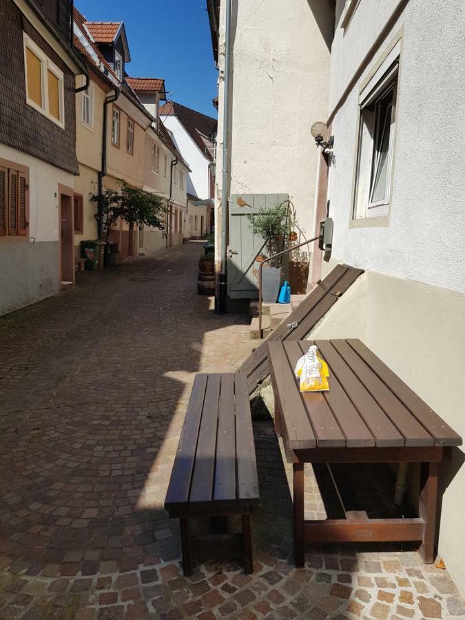 Zauberhafte Wohnung In Der Naehe Von Heidelberg, Top Lage Hirschhorn Bagian luar foto