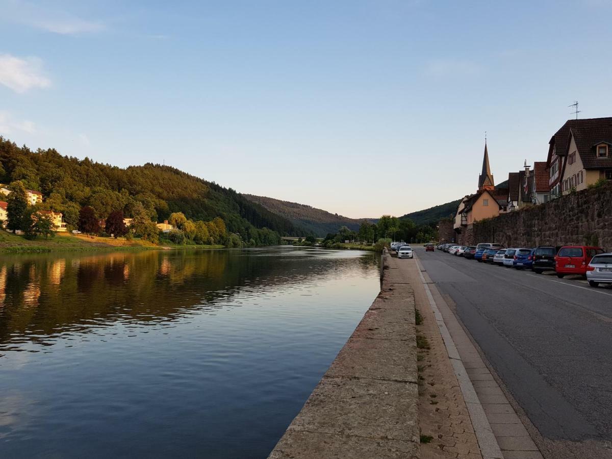 Zauberhafte Wohnung In Der Naehe Von Heidelberg, Top Lage Hirschhorn Bagian luar foto