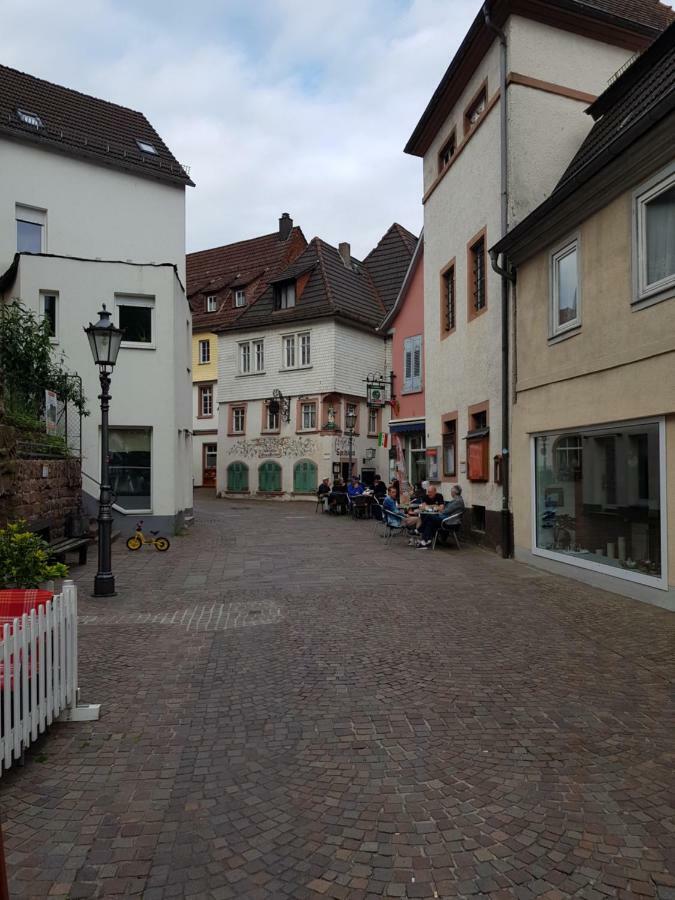 Zauberhafte Wohnung In Der Naehe Von Heidelberg, Top Lage Hirschhorn Bagian luar foto