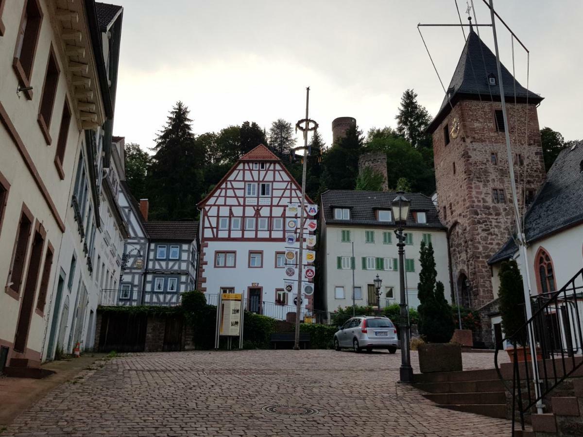 Zauberhafte Wohnung In Der Naehe Von Heidelberg, Top Lage Hirschhorn Bagian luar foto
