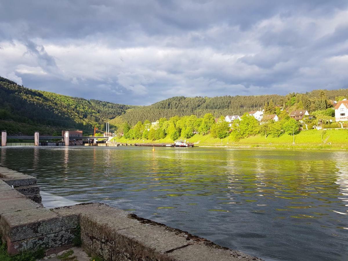 Zauberhafte Wohnung In Der Naehe Von Heidelberg, Top Lage Hirschhorn Bagian luar foto