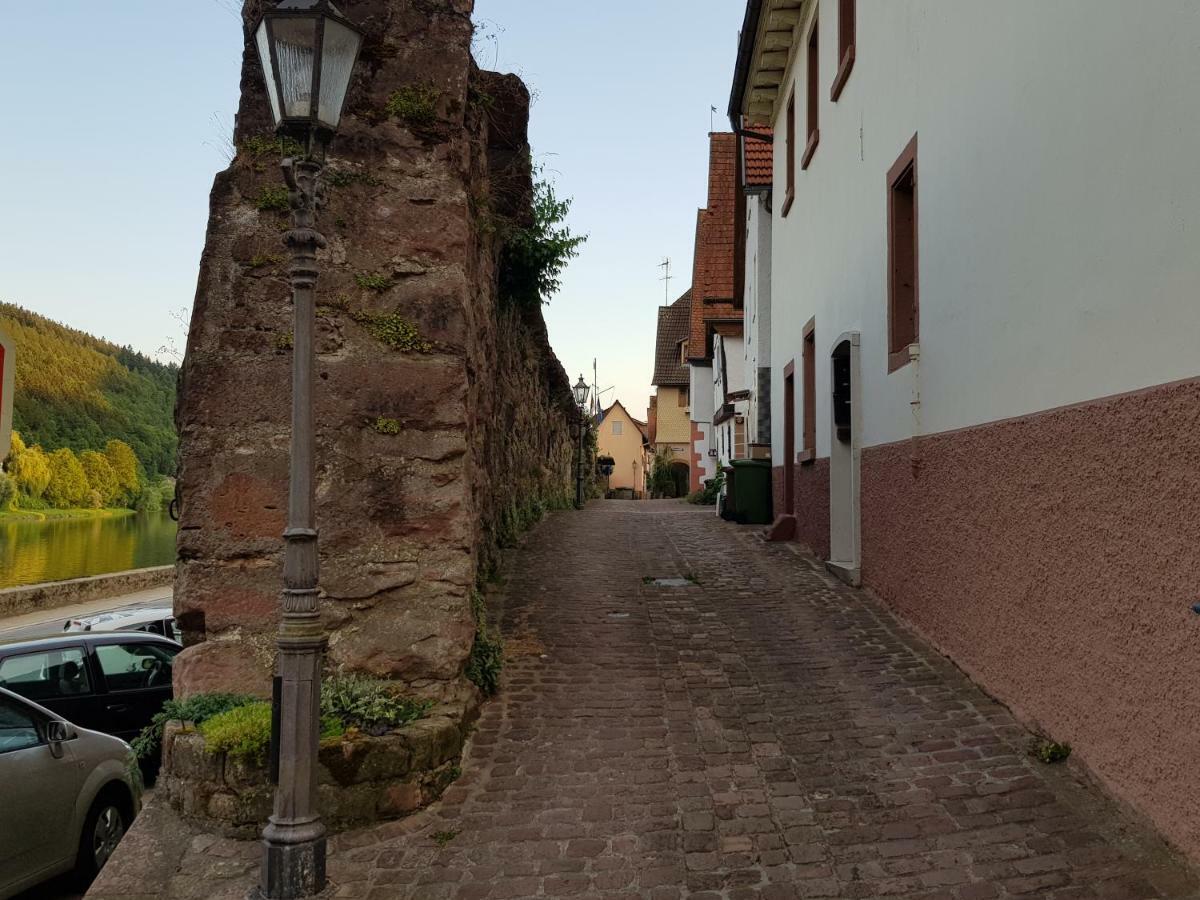 Zauberhafte Wohnung In Der Naehe Von Heidelberg, Top Lage Hirschhorn Bagian luar foto