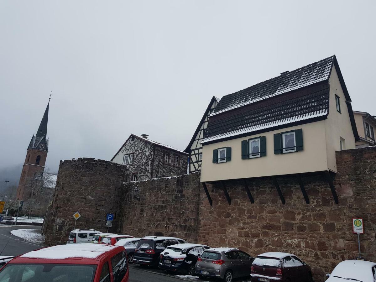 Zauberhafte Wohnung In Der Naehe Von Heidelberg, Top Lage Hirschhorn Bagian luar foto