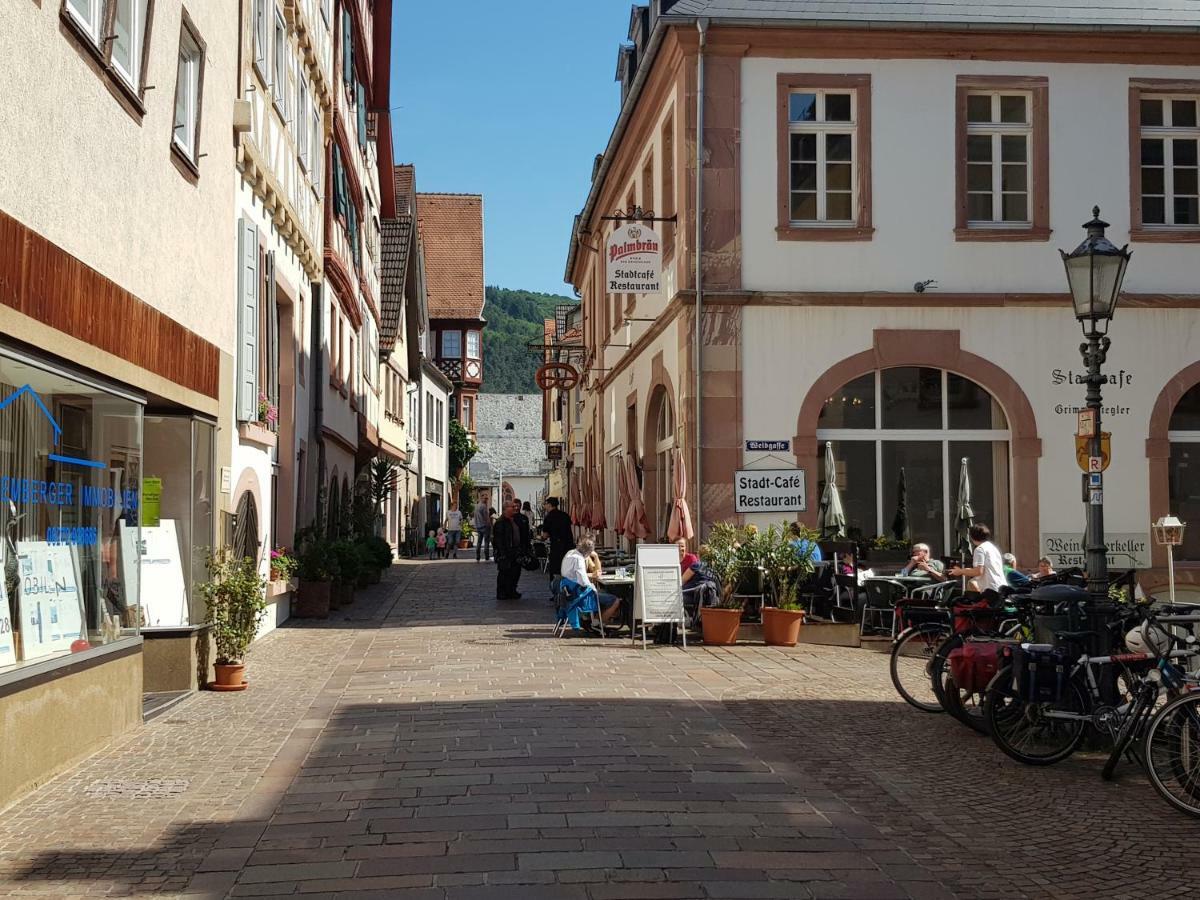 Zauberhafte Wohnung In Der Naehe Von Heidelberg, Top Lage Hirschhorn Bagian luar foto