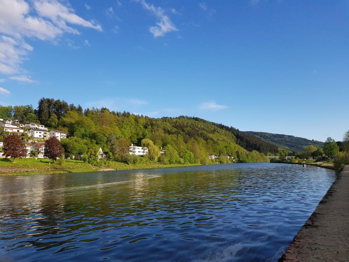 Zauberhafte Wohnung In Der Naehe Von Heidelberg, Top Lage Hirschhorn Bagian luar foto
