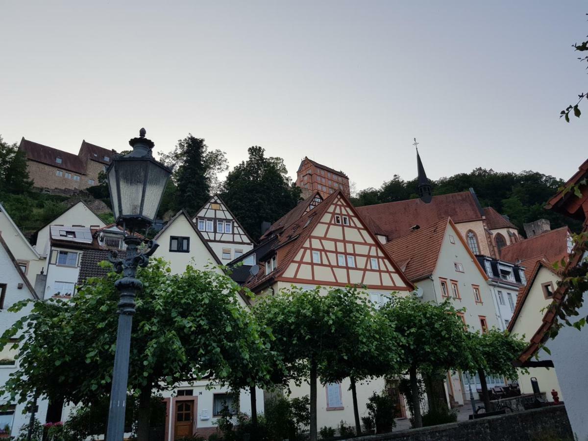 Zauberhafte Wohnung In Der Naehe Von Heidelberg, Top Lage Hirschhorn Bagian luar foto