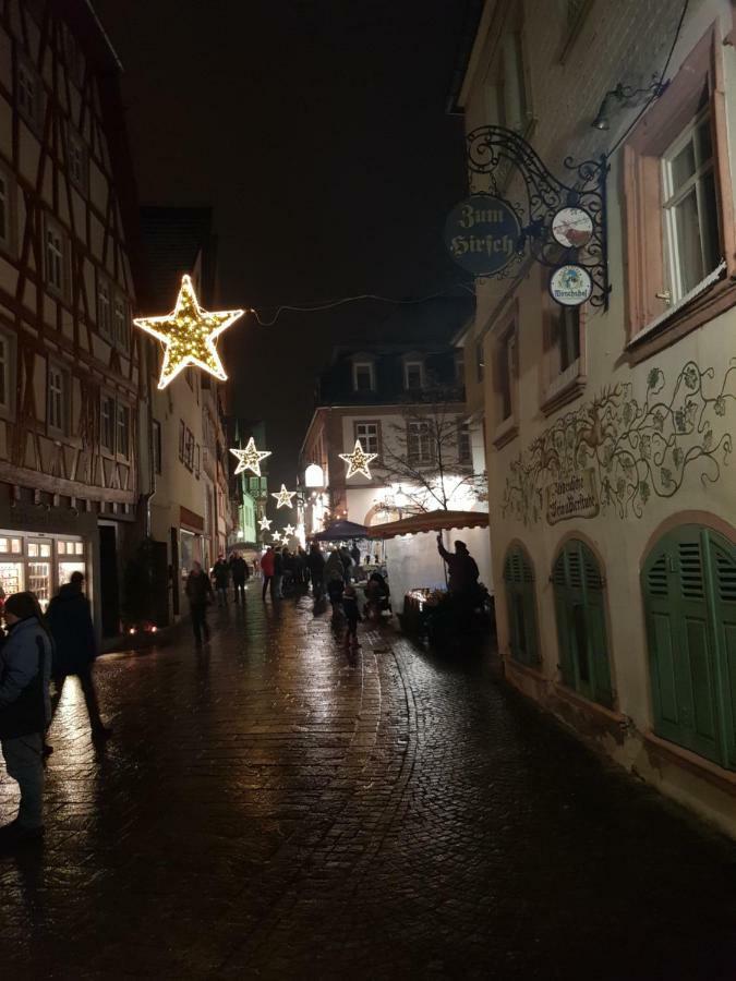 Zauberhafte Wohnung In Der Naehe Von Heidelberg, Top Lage Hirschhorn Bagian luar foto