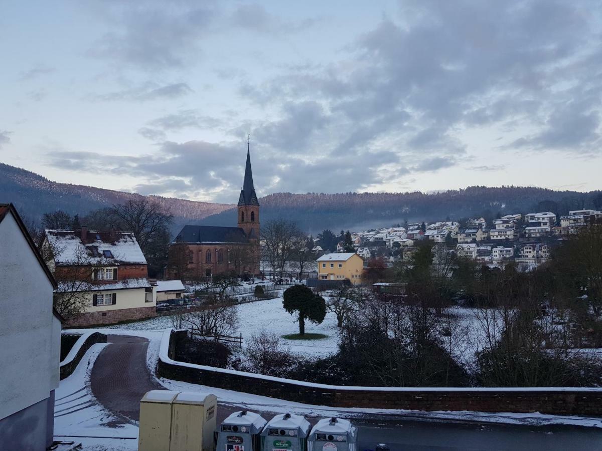Zauberhafte Wohnung In Der Naehe Von Heidelberg, Top Lage Hirschhorn Bagian luar foto