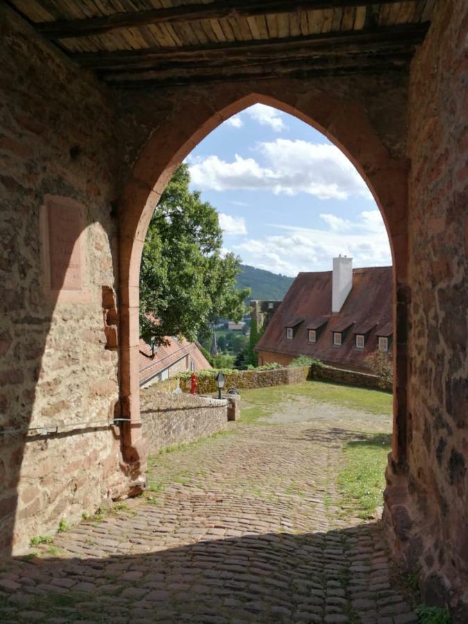 Zauberhafte Wohnung In Der Naehe Von Heidelberg, Top Lage Hirschhorn Bagian luar foto