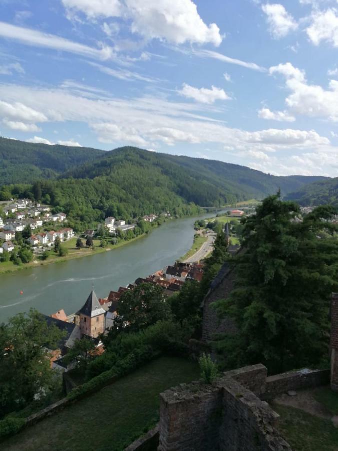 Zauberhafte Wohnung In Der Naehe Von Heidelberg, Top Lage Hirschhorn Bagian luar foto