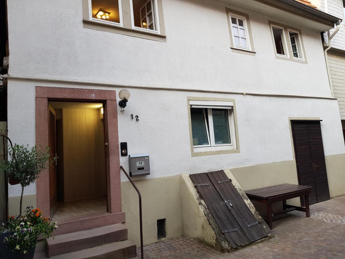 Zauberhafte Wohnung In Der Naehe Von Heidelberg, Top Lage Hirschhorn Bagian luar foto