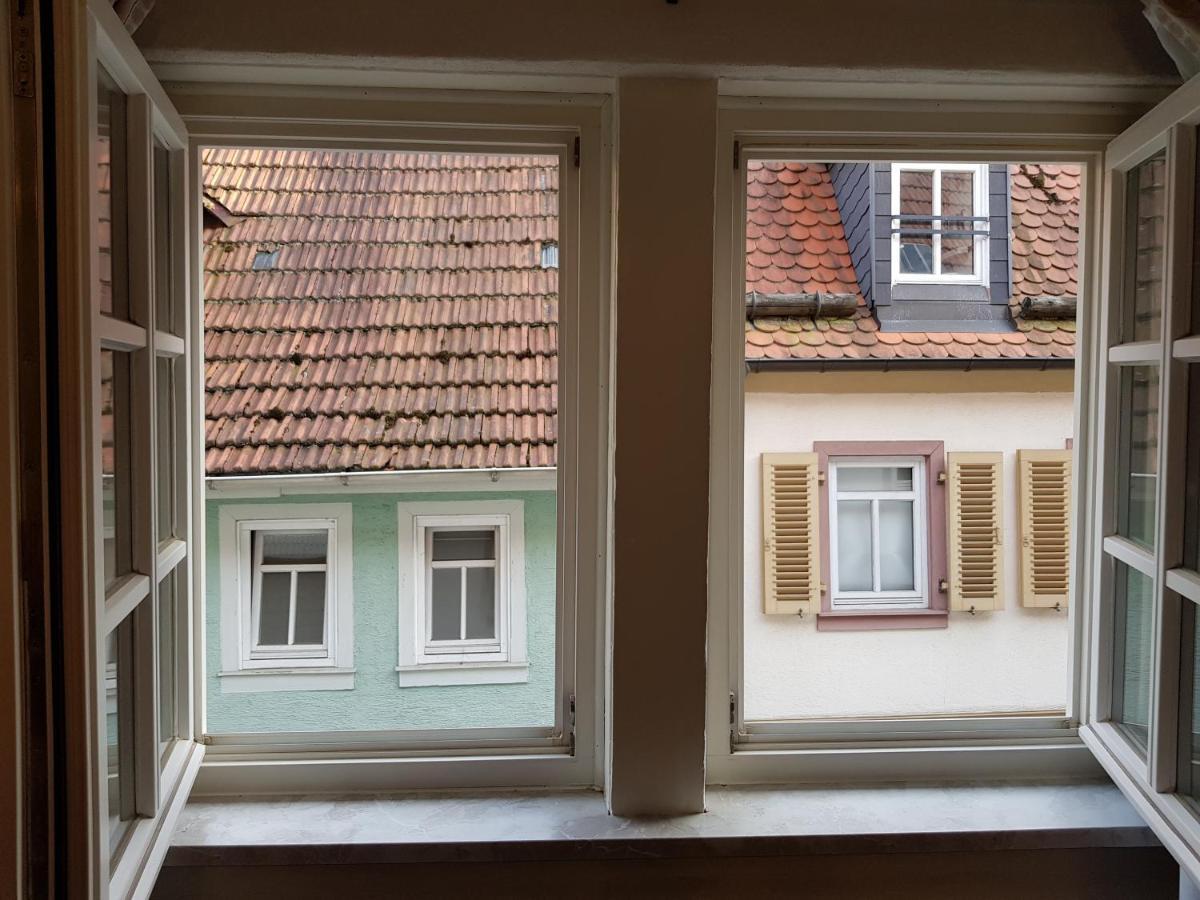 Zauberhafte Wohnung In Der Naehe Von Heidelberg, Top Lage Hirschhorn Bagian luar foto